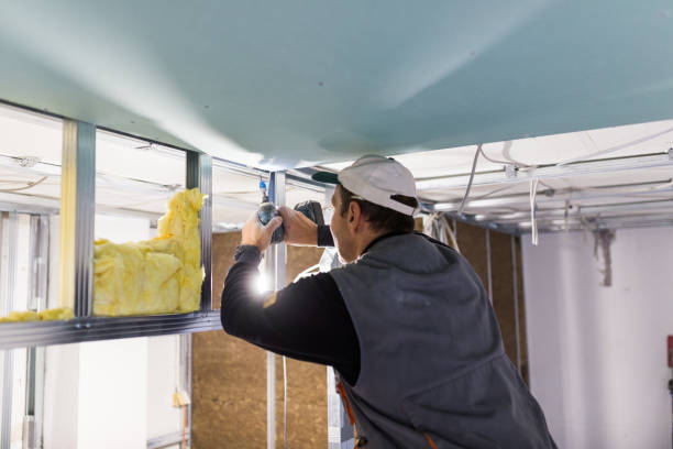 Best Spray Foam Insulation in Moravian Falls, NC