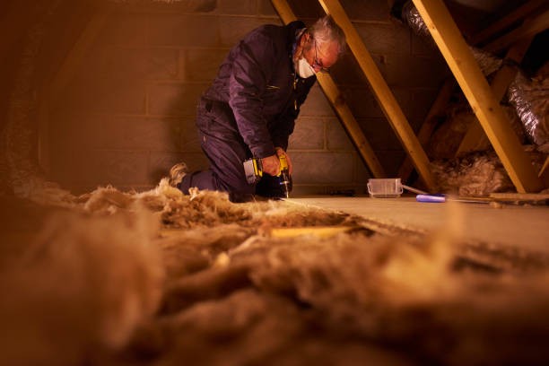 Best Specialized Insulation Services in Moravian Falls, NC